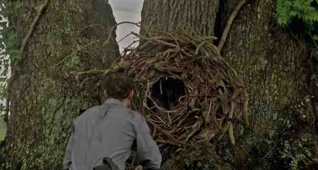 Sob a árvore da morte.